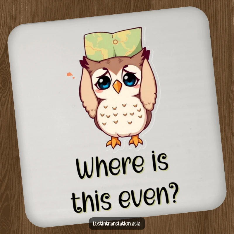 Funny owl coaster, character holding map upside down, bewildered, protecting surfaces, funny gift.