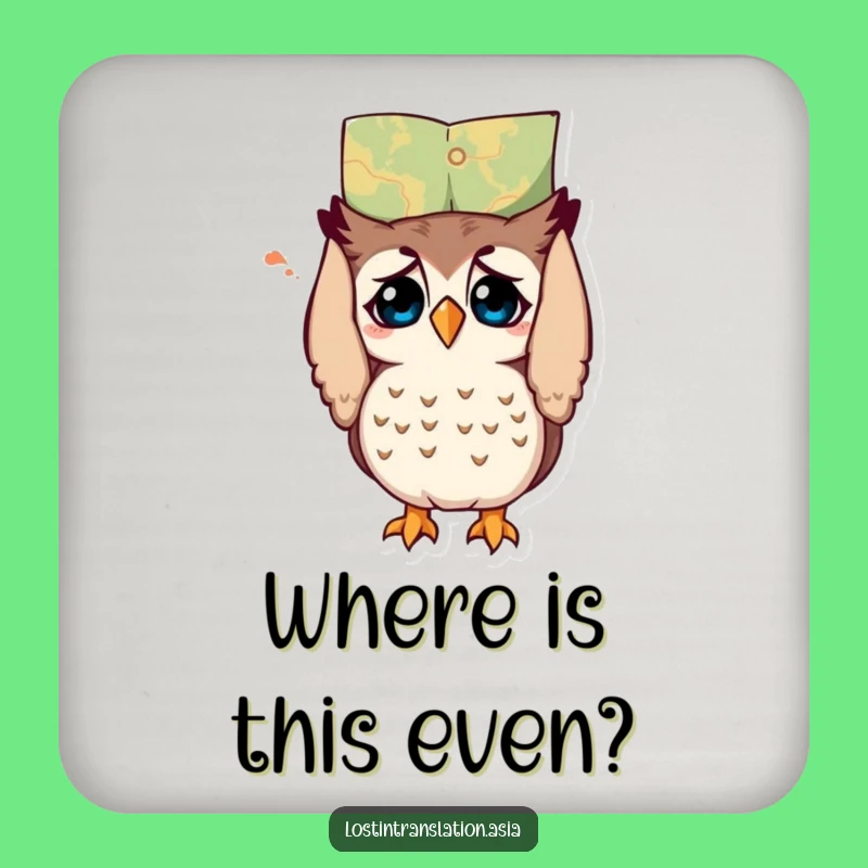 Funny Owl Map Coaster - Protect Surfaces with Humor!